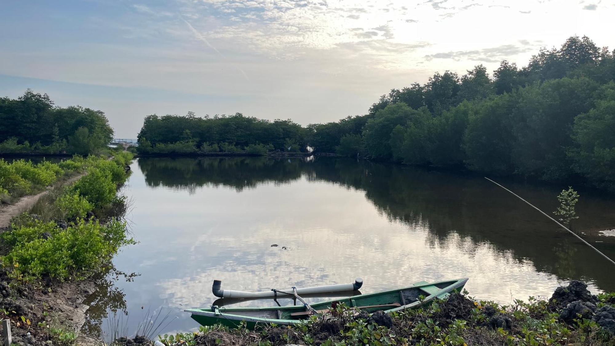 Mangrove Inn Каримунджава Экстерьер фото