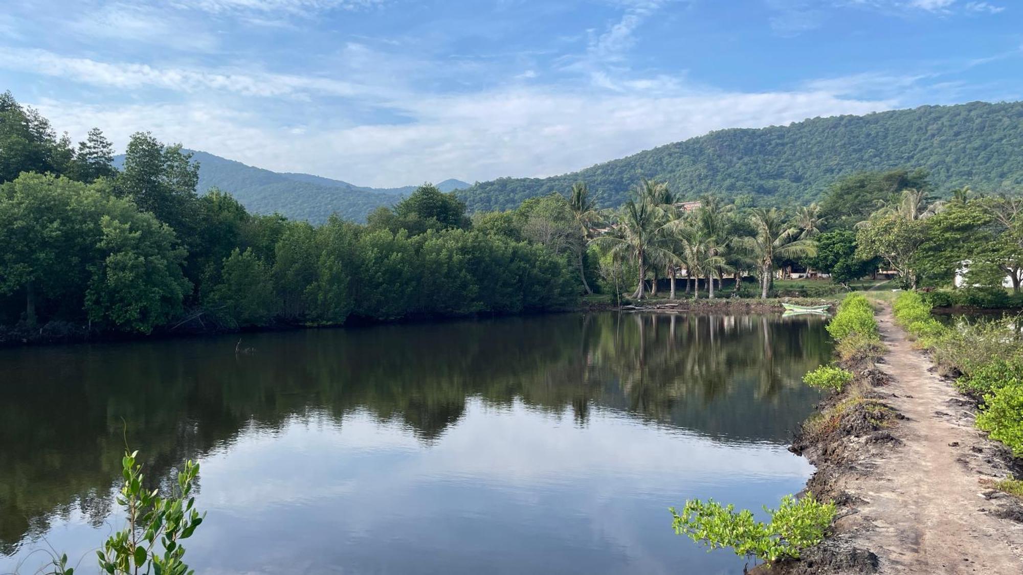 Mangrove Inn Каримунджава Экстерьер фото