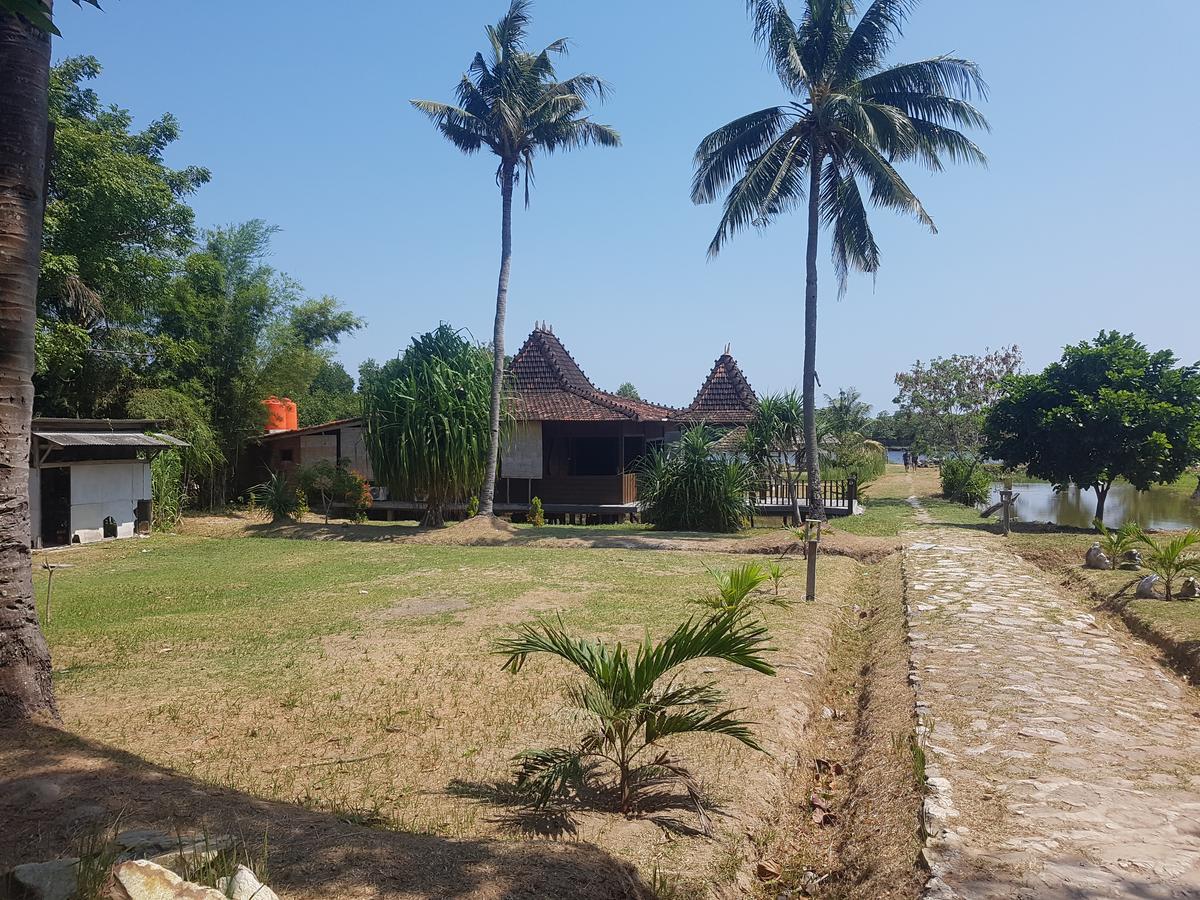 Mangrove Inn Каримунджава Экстерьер фото